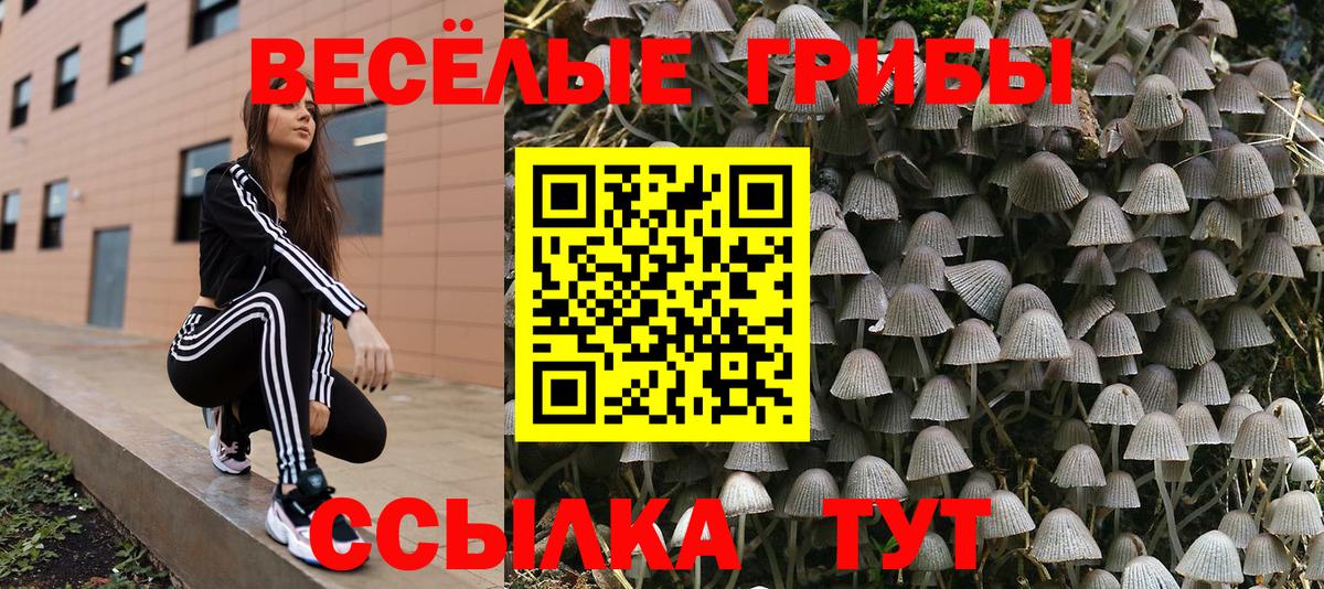 Галлюциногенные грибы Psilocybine cubensis  Псилоцибиновые грибы Cubensis  Ярославль  Вход с VPN 