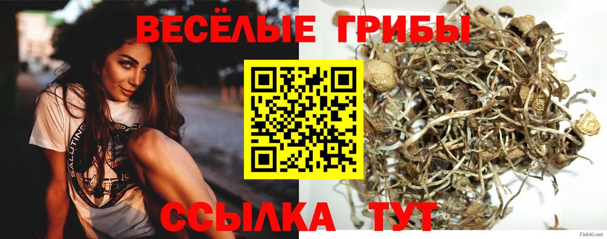Галлюциногенные грибы Cubensis Ярославль
