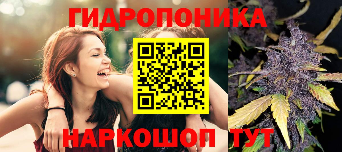 Бошки Шишки конопля  Канабис план  Конопля марихуана  Бошки марихуана конопля  Ярославль  Вход с VPN 